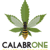 Logo Calabrone - cbd i in calabria